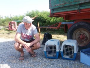 553872_10150873260077735_1683459514_n