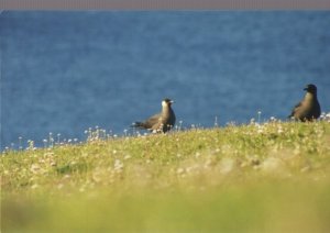 10399197_20558397734_4851_n