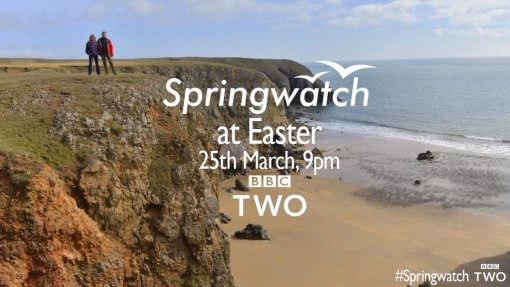 Springwatch