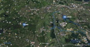 C2YiFpyXUAApBMw.jpg-large