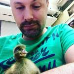 24774674_10154875240917735_8118375351314765123_n