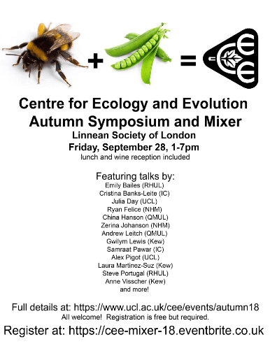 Screen Shot 2018-08-03 at 13.19.17