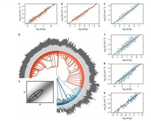 Screen Shot 2019-03-18 at 16.21.30