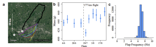 Screen Shot 2019-07-16 at 16.21.47