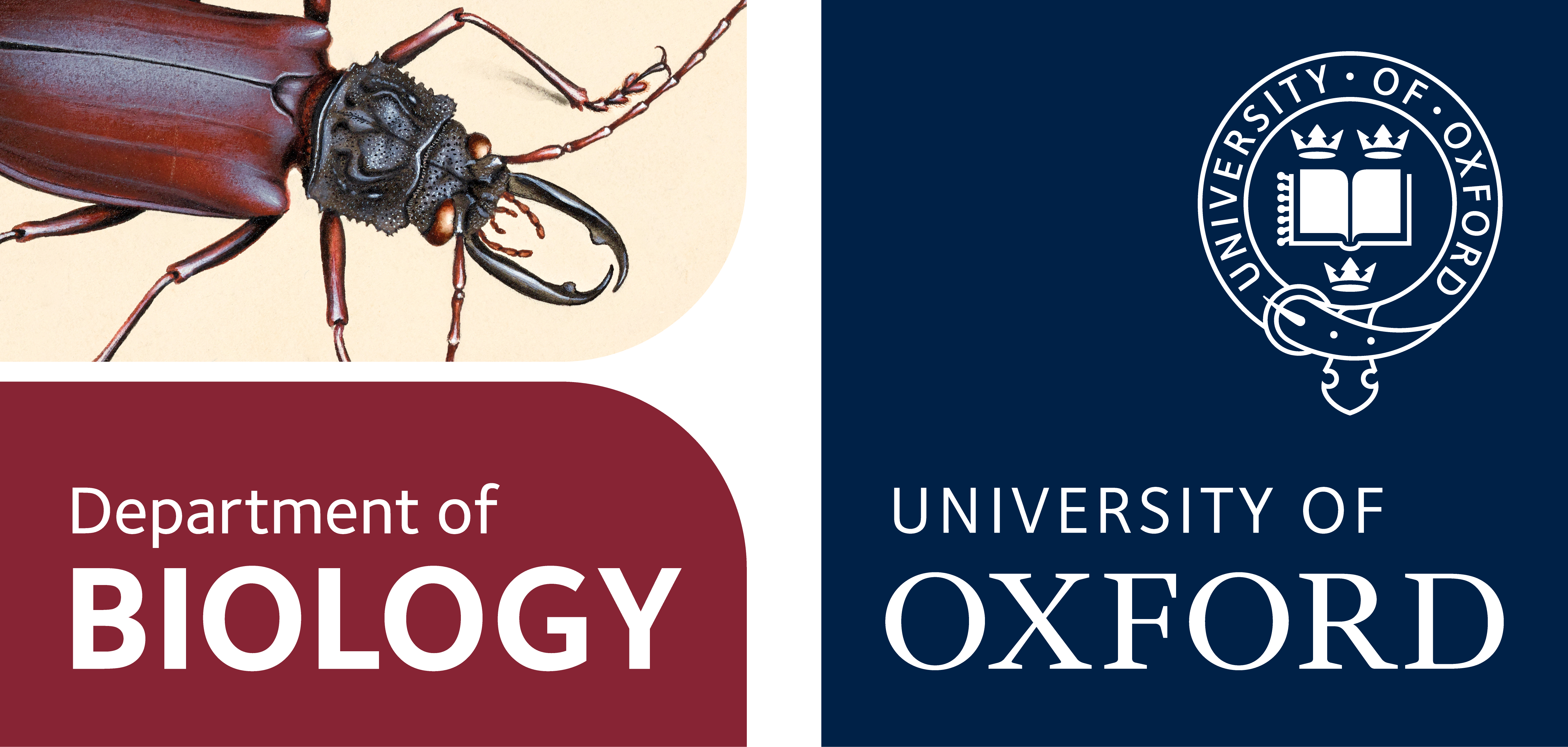 uoo_biologylogo_beetle_lockup
